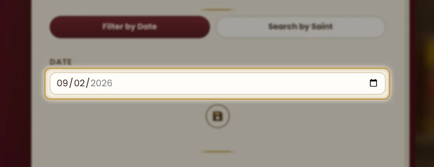 The date field in the daily search panel